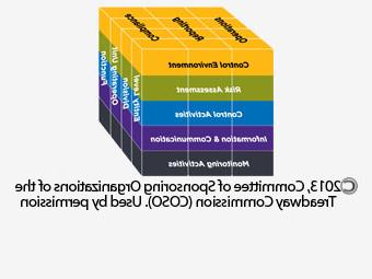 COSO Framework cube